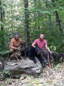 Hunting Maine's Black Bears