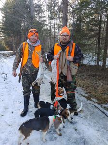 Rabbit Hunting Success In Maine