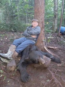 Black bear tracked in Maine woods