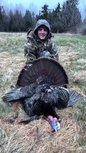 Solid wild turkey harvest with camo hunter in open field