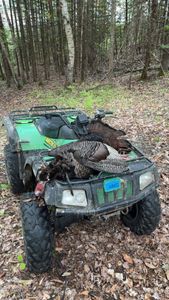 Big wild turkey harvest on ATV in wooded terrain