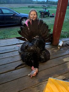 Impressive wild turkey harvest on rustic farm porch
