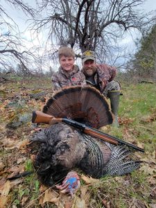 Maine's Gobbling Turkeys