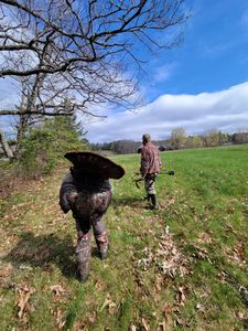 Maine's Wild Turkey Hunts