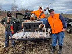 Bird Hunting Success In Maine