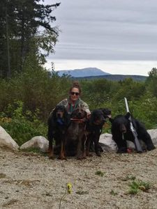 Maine's Mighty Bears