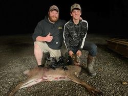 Trophy Buck Pursuit