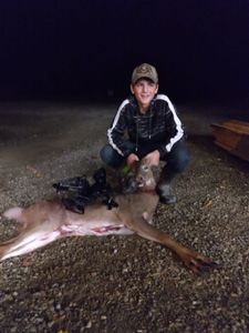 Maine's Deer Country