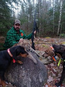 Maine's Bobcat Hunters