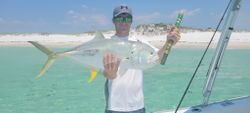 Florida's Vibrant Jack Moments