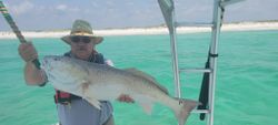 Destin majestic redfish capture.