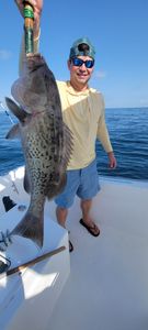 Destin, FL majestic grouper catch. 