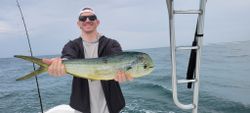 Florida's vibrant mahi mahi catch.