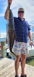 Premier Cobia Fishing In Florida