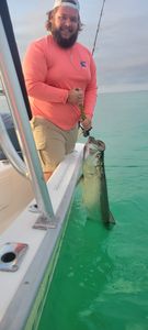 Premier Tarpon Fishing In Destin, FL