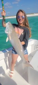 Gulf's Redfish Wonders