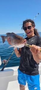 A photo of two people fishing on the coast in FL, with a barred sand bass catch.