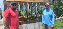 5 spanish mackerel and king mackerel fish caught in Destin