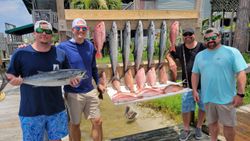 7 little tunny, cero mackerel, king mackerel fish caught in destin