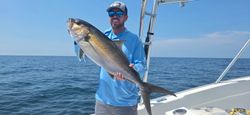 Greater amberjack caught while fishing in Destin FL waters