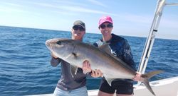 A huge Greater Amberjack caught while fishing in FL
