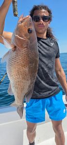 Grey snapper caught fishing in FL
