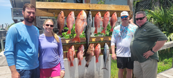 9 little tunny and grey snapper fish caught while fishing in Destin