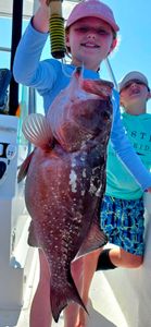 Red grouper catch displayed on fishing boat in Destin FL