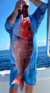 Red snapper caught fishing in Destin FL waters held up on boat deck