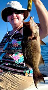 Scamp grouper caught while fishing in Destin FL waters