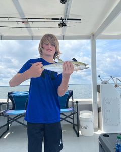 1 angler fishing in VA