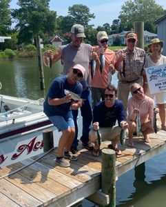 Bluefish caught during a fishing trip at Gwynn Island
