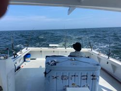 Serene view of Gwynn Island, a picturesque fishing destination.