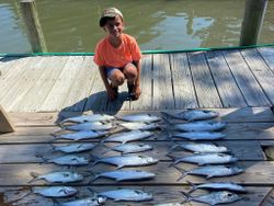 5 spanish mackerel and bluefish caught fishing in VA