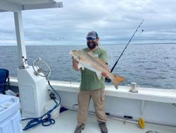 Redfish caught in VA
