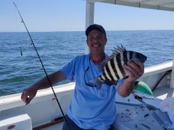 Sheepshead fish caught in VA