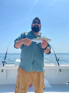 Photograph of a Spanish mackerel, a 12-inch fish, caught while fishing on Gwynn Island.
