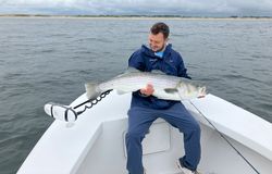 Striped bass caught in MA