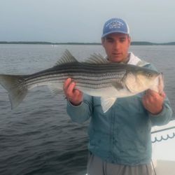 Striped Bass fishing in MA