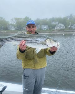 Striped bass caught while fishing in Ipswich