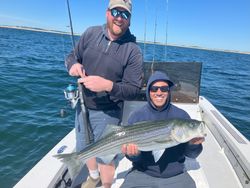 A photo of a 29-inch striped bass caught while fishing in Ipswich