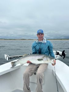 Striped Bass caught in Ipswich, Massachusetts
