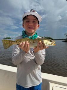Lone angler fishing in Punta Gorda