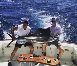 Anglers with Atlantic Sailfish in Punta Gorda
