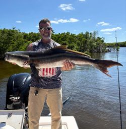A single cobia fish caught while fishing in Punta Gorda