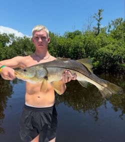 An angler fishing for a snook in Punta Gorda