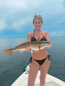 Redfish caught in Florida