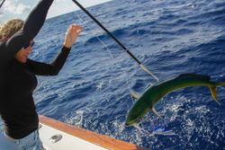 Person fishing in Punta Gorda
