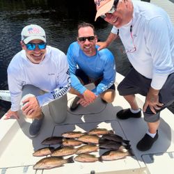 6 Grey Snapper caught while fishing in FL