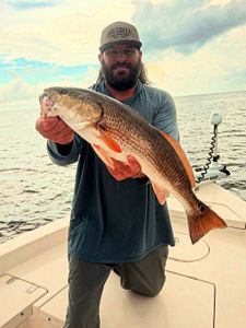 A fisherman catching a redfish in Punta Gorda